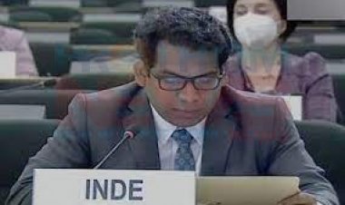 জাতিসংঘের মানবাধিকার বিষয়ক পরিষদে পাকিস্তানের বিরুদ্ধে কঠোর সমালোচনা ভারতের