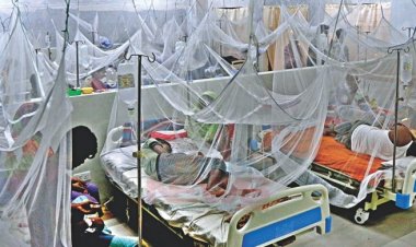 ডেঙ্গুর প্রকোপ : আরো ২৩৪ জন হাসপাতালে