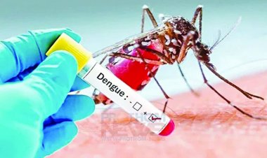 বাড়ছে ডেঙ্গুর ভয়াবহতা : নতুন ২৩২ জন হাসপাতালে ভর্তি