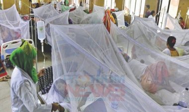  ২৪ ঘণ্টায় ডেঙ্গুতে আক্রান্ত হয়ে হাসপাতালে ভর্তি ৭২
