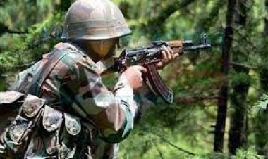 ভারতীয় যুবককে বাংলাদেশি ভেবে হত্যা করল বিএসএফ