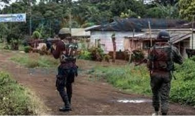 ক্যামেরুনে বিদ্রোহীদের হামলায় ১৫ সেনা নিহত