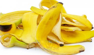 ত্বক-চুলের যত্ন ছাড়াও কলার খোসার ৭  ব্যবহার