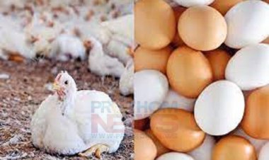 রাজধানীর বাজারগুলোতে বেড়েছে ডিম-মুরগির দাম