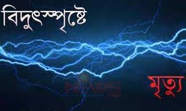 নারায়ণগঞ্জে বিদ্যুৎস্পর্শে একসঙ্গে প্রাণ গেল স্বামী-স্ত্রীর