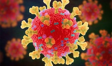 আজও ৯ জনের মৃত্যু, কমেছে শনাক্ত