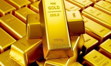 প্রবাসীর জ্যাকেটের হাতায় মিললো ২ কোটি টাকার সোনা