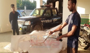 নেত্রকোনায় দাঁড়িয়ে থাকা ট্রাকে পিকআপের ধাক্কায় দুই ভাইসহ নিহত ৩