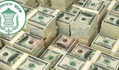 ঈদের ৭ দিনে এসেছে প্রায় ৮৫০০ কোটি টাকার রে‌মিট্যান্স