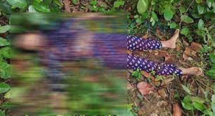 ভাওয়াল জাতীয় উদ্যানে নারীর লাশ