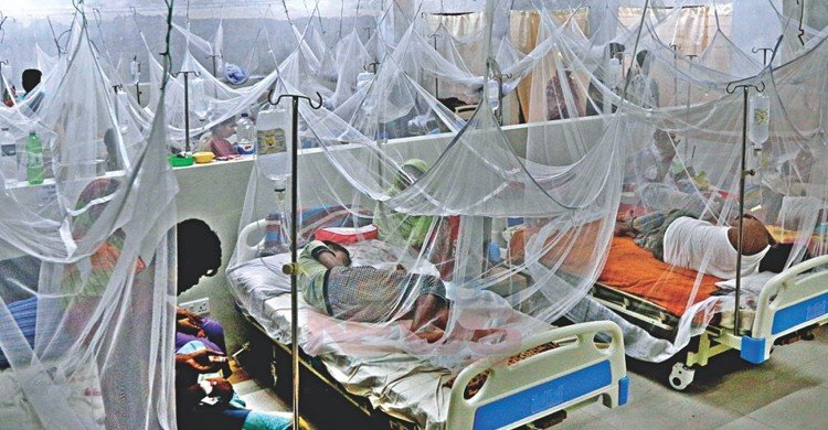 ডেঙ্গুর প্রকোপ : আরো ২৩৪ জন হাসপাতালে