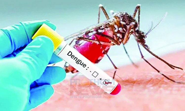 বাড়ছে ডেঙ্গুর ভয়াবহতা : নতুন ২৩২ জন হাসপাতালে ভর্তি