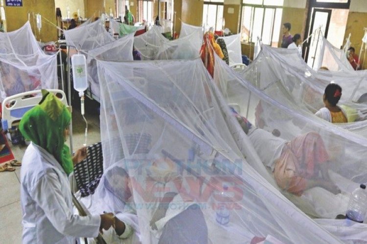  ২৪ ঘণ্টায় ডেঙ্গুতে আক্রান্ত হয়ে হাসপাতালে ভর্তি ৭২