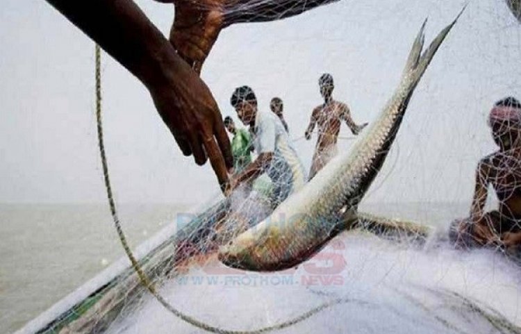 ইলিশ ধরায় ২২ দিনের নিষেধাজ্ঞা