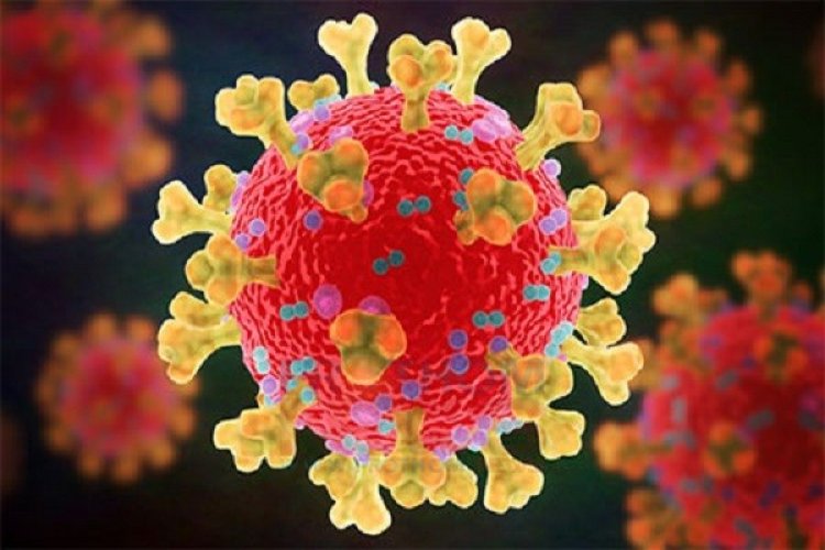 আজও ৯ জনের মৃত্যু, কমেছে শনাক্ত