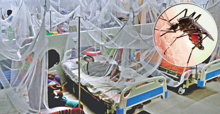 হাসপাতালে ভর্তি আরও ১৫৯ জন ডেঙ্গুরোগী