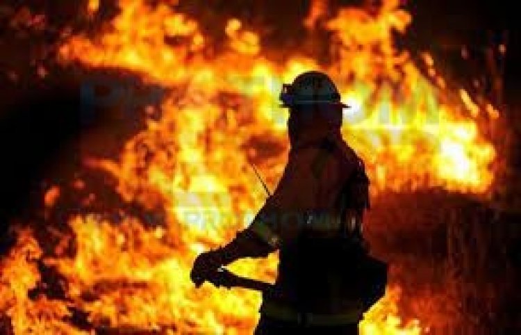 আশুলিয়ায় ফোম কারখানায় ভয়াবহ আগুন