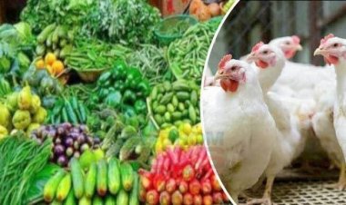 দুইশোর কাছে ব্রয়লারের কেজি:চড়া দামে বিক্রি হচ্ছে সবজি