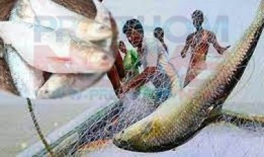 ইলিশ ধরা ২২ দিন নিষিদ্ধ