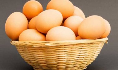 ডিম যেভাবে রাখলে এক বছরেও নষ্ট হবে না