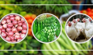 মুরগি  ও পেঁয়াজের দাম বৃদ্ধি: ক্রেতাদের নাগালের বাহিরে