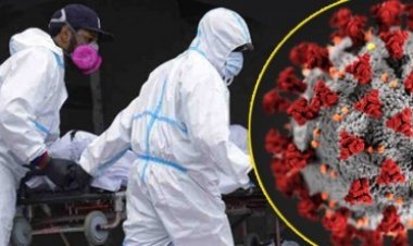  করোনাআরও মৃত্যু ১০ জন, শনাক্ত ৩৩৯