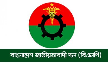 আগামী ডিসেম্বরের মধ্যেই  জেলা, উপজেলা ও পৌরসভার কাউন্সিল