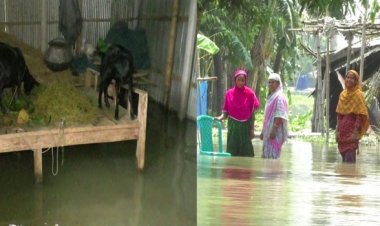 তিস্তার পানিতে গঙ্গাচড়া-কাউনিয়ার ৪০ গ্রামের মানুষ পানিবন্দি