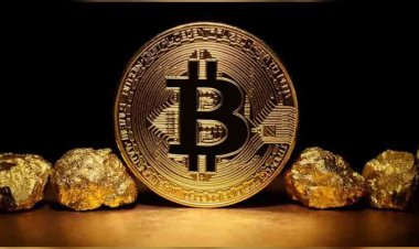 বিট কয়েনের দাম নতুন রেকর্ড গড়লো