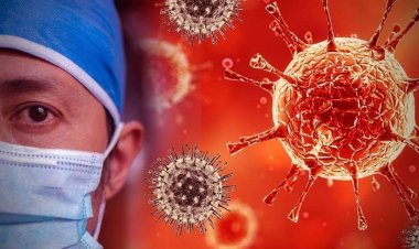 ফের হাজির করোনার আরও একটি নতুন প্রজাতি