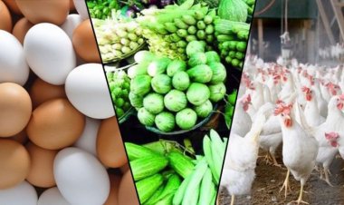 সবজির দাম অপরিবর্তিত,বেড়েছে ডিমের