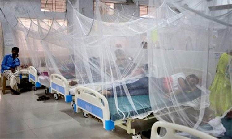 ডেঙ্গুতে আক্রান্ত হয়ে হাসপাতালে আরও ১০৩ জন