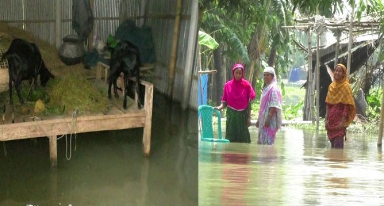 সিলেটে সেপ্টেম্বর পর্যন্ত ক্ষুদ্রঋণের কিস্তি আদায় স্থগিত