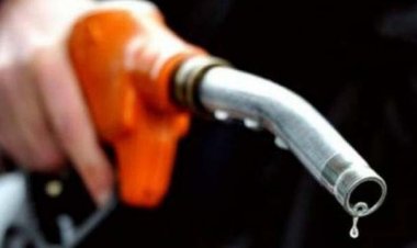 বিশ্বে কোন দেশে তেলের দাম কত?