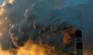 কয়লা ব্যবহার বন্ধে ১৯০ দেশের প্রতিশ্রুতি