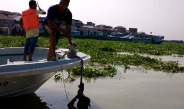 চাঁদপুরে লঞ্চের ধাক্কায় যাত্রীবাহী ট্রলারডুবি, নারী নিখোঁজ