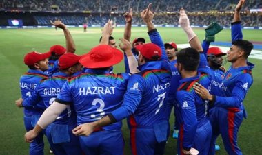 নিউজিল্যান্ডের বিপক্ষে টস জিতে ব্যাটিংয়ে আফগানিস্তান