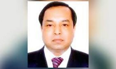 পি কে হালদারের বিরুদ্ধে চার্জশিট অনুমোদন দুদকের