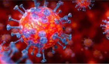 জার্মানিতে করোনায় আরও এক লাখ মানুষের মৃত্যু হতে পারে