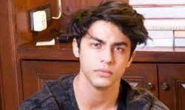 শাহরুখপুত্র আরিয়ানের দেহরক্ষী হতে আবেদনপত্রের হিড়িক