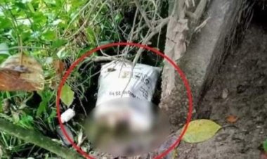 বাজারের ব্যাগে নিখোঁজ শিশুর পা