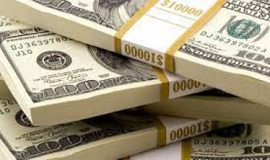 ২ লাখ ৩০ হাজার মার্কিন ডলার পাচারের চেষ্টা, গ্রেপ্তার ২