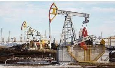 মার্কিন চাপে তেল উত্তোলন বাড়াবে না ওপেক প্লাস