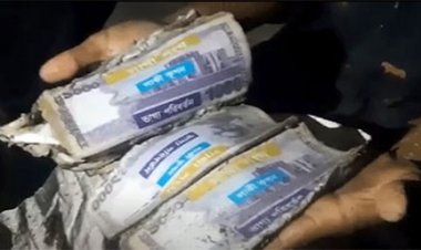 ডোবায় মাছ ধরতে গিয়ে পানির নিচে ৬৬ লাখ টাকা পেলেন