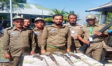 সুন্দরবনে মাটির নিচে পাওয়া গেল ৪ বন্দুক