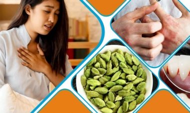 ১৩ রোগের সমাধান এলাচ ভেজানো পানিতে