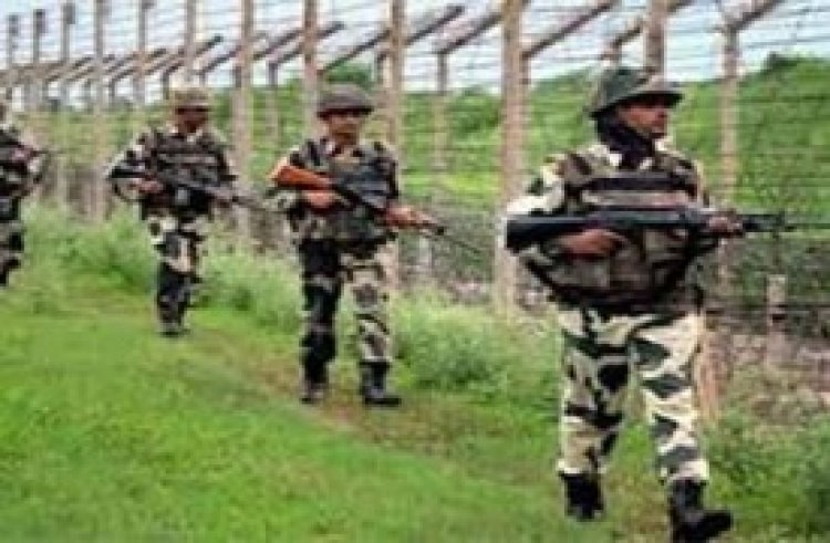 সীমান্তে বিএসএফের গুলিতে ২ বাংলাদেশি নিহত