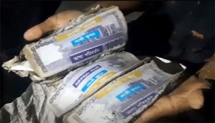 ডোবায় মাছ ধরতে গিয়ে পানির নিচে ৬৬ লাখ টাকা পেলেন