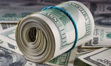 টাকার পতন ঠেকাতে ২ হাজার ৩২ মিলিয়ন ডলার বিক্রি