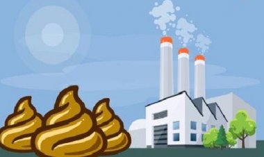 কয়লার বদলে মানুষের মল ব্যবহার হবে জ্বালানির কাজে, দাবি বিজ্ঞানীদের